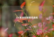 LOL赛场惊现黑线危机