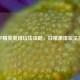 和平精英单排玩法攻略，日常单排玩法指南