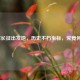红军长征出发地，历史不朽坐标，究竟何处？