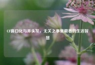 CF窗口化与弄头发，无关之事里藏着的生活智慧