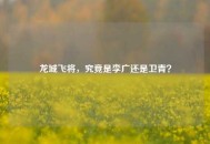 龙城飞将，究竟是李广还是卫青？
