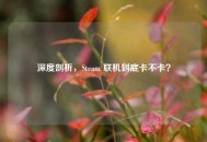 深度剖析，Steam 联机到底卡不卡？