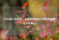 PUBG输入验证码，保障游戏安全公平的绝地求生验证码app