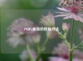 PUBG崩溃的修复办法