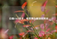 日裔CSGO选手，电竞舞台展别样风采