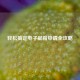 轻松搞定电子邮箱申请全攻略
