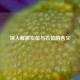 深入解析左位与右位的含义