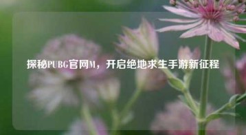 探秘PUBG官网M，开启绝地求生手游新征程
