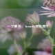 一文解答，Steam礼物在哪？