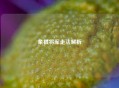 象棋将军走法解析