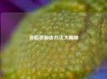 消脂肪最快 *** 大揭秘