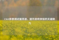 CSGO参数调试服务器，提升游戏体验的关键助力