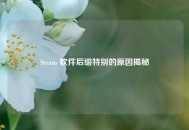 Steam 软件后缀特别的原因揭秘