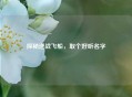 探秘逆战飞船，取个好听名字
