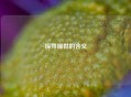 探寻现世的含义