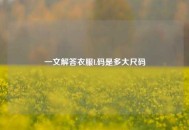 一文解答衣服L码是多大尺码