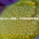 畅玩COD16 2K画质，不可错过的配置要求