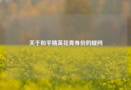 关于和平精英花青身份的疑问