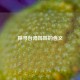 探寻台湾姊姊的含义