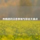 养鹦鹉的注意事项与禁忌大盘点