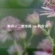 解读 d 二聚体高 850 的含义