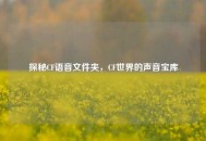 探秘CF语音文件夹，CF世界的声音宝库