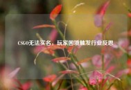 CSGO无法实名，玩家困境触发行业反思