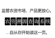 稳中求存，生存优先的务实之道，解析，，核心突出生存优先，直接点明核心原则。，体现稳字当头，稳中求存清晰表达了稳是首要策略和前提。，呼应前期与行动理念，务实之道强调了在当前阶段（前期）采取注重实际、避免冒进的行动方针。，简洁有力，句式简短，用词凝练，符合要求。