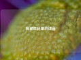 探秘姓氏覃的读音