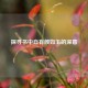 探寻书中自有颜如玉的深意