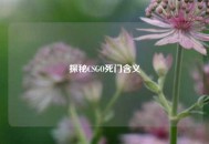 探秘CSGO死门含义