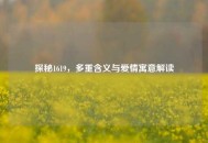 探秘1619，多重含义与爱情寓意解读