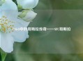 CSGO中的哥斯拉传奇——SFC哥斯拉