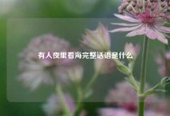 有人夜里看海完整话语是什么