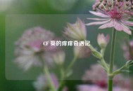 CF 葵的痒痒奇遇记