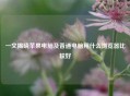 一文揭晓苹果电脑及普通电脑用什么浏览器比较好