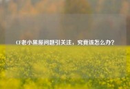 CF老小黑屋问题引关注，究竟该怎么办？