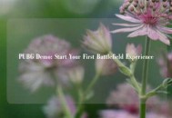 PUBG Demo: Start Your First Battlefield Experience