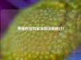 黄鳝好吃的家常做法别错过！