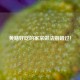 黄鳝好吃的家常做法别错过！