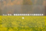 Steam 平台，策略游戏的联机魅力与策略联机体验