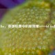 LOL Bot，英雄联盟中的新现象——lol bot脚本