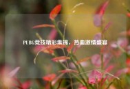 PUBG竞技精彩集锦，热血***盛宴