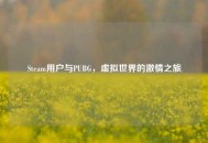 Steam用户与PUBG，虚拟世界的***之旅