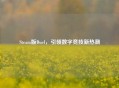 Steam版Duel，引领数字竞技新热潮