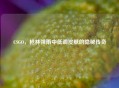 CSGO，枪林弹雨中低调皮肤的隐秘传奇