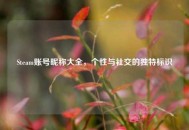 Steam账号昵称大全，个性与社交的独特标识