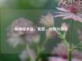 探秘绿水晶，寓意、功效与禁忌