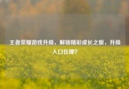 王者荣耀游戏升级，解锁精彩成长之旅，升级入口在哪？