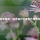和平精英，探寻最穷仓库及仓库类型